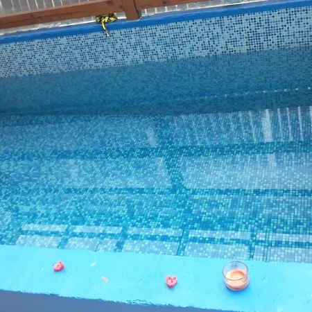 Pensiunea Floare De Colt Guest house 3*