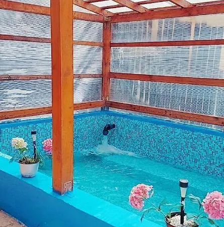Pensiunea Floare De Colt Guest house 3*