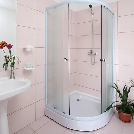 Guest house Pensiunea Floare De Colt