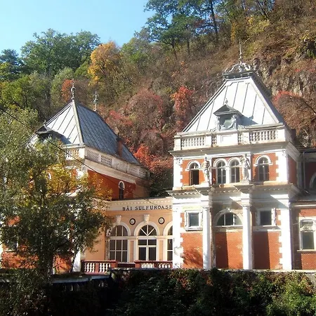 Pensiunea Floare De Colt Guest house