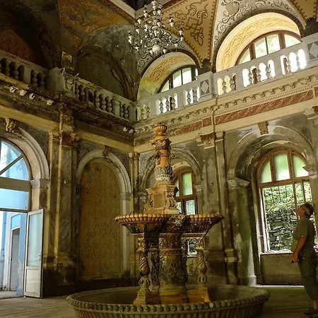 Guest house Pensiunea Floare De Colt Baile Herculane
