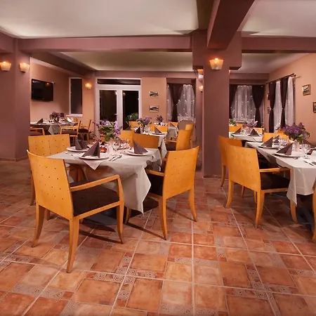 Guest house Pensiunea Floare De Colt 3*
